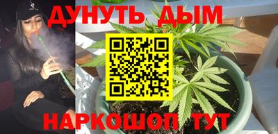 стаф Свободный
