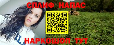 стаф Свободный