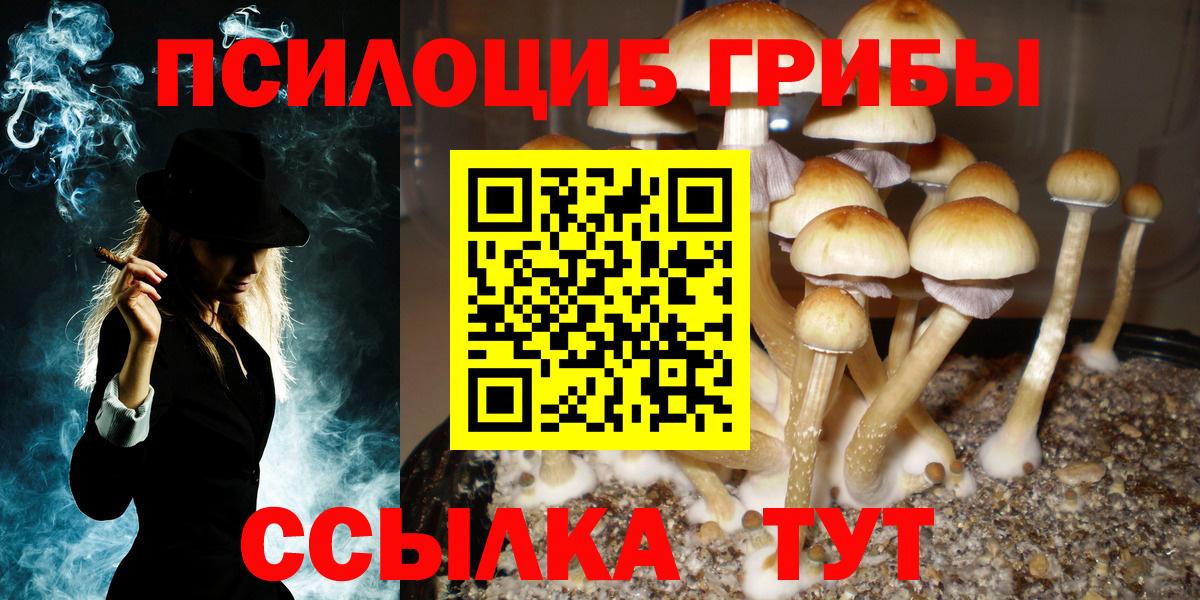 Галлюциногенные грибы ЛСД Новозыбков