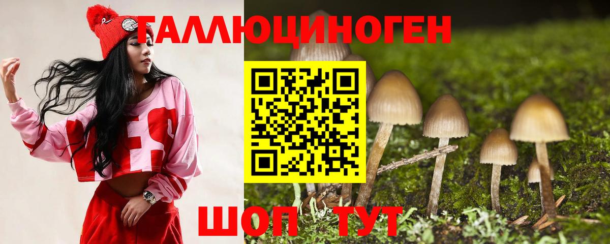 Галлюциногенные грибы мухоморы  Вход с VPN  Новозыбков  Галлюциногенные грибы прущие грибы 