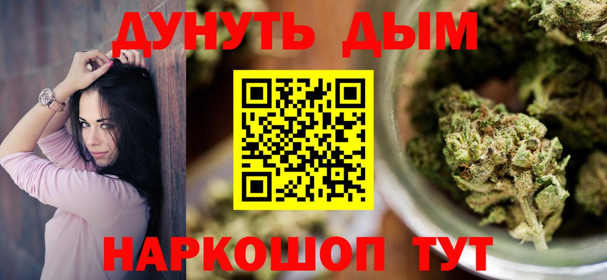 Марихуана конопля  Бошки Шишки план  Вход с VPN  Шишки марихуана сатива  Новозыбков 